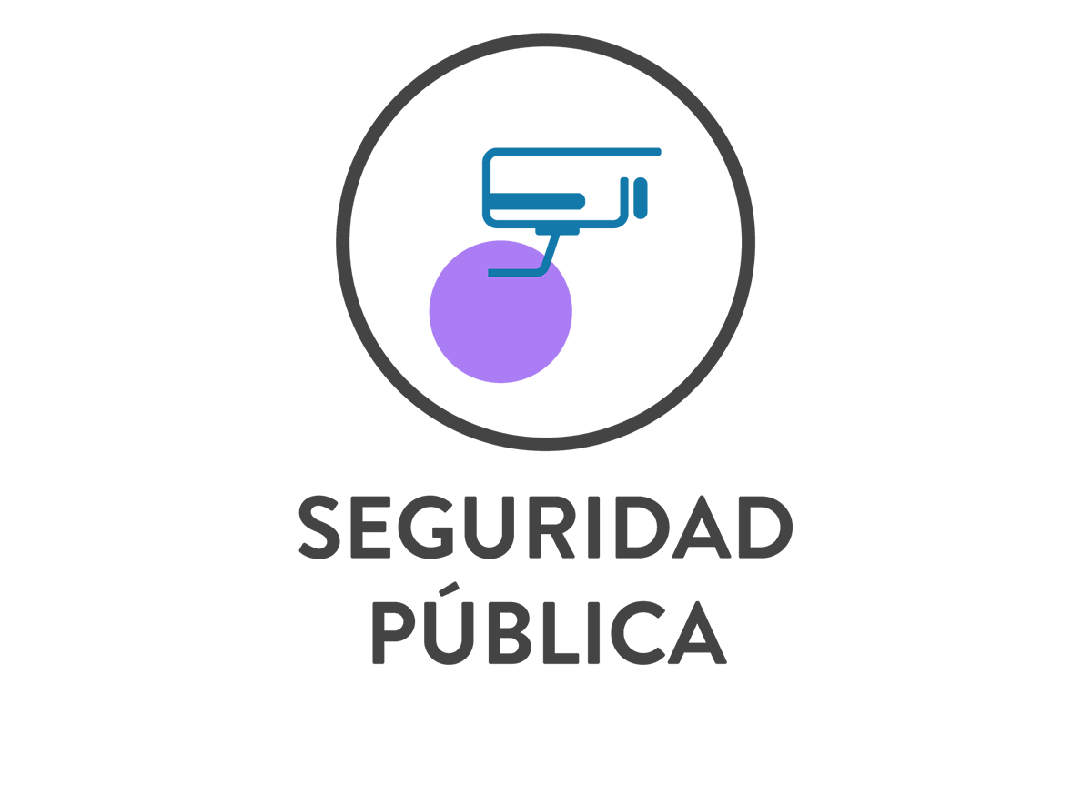 Seguridad Pública